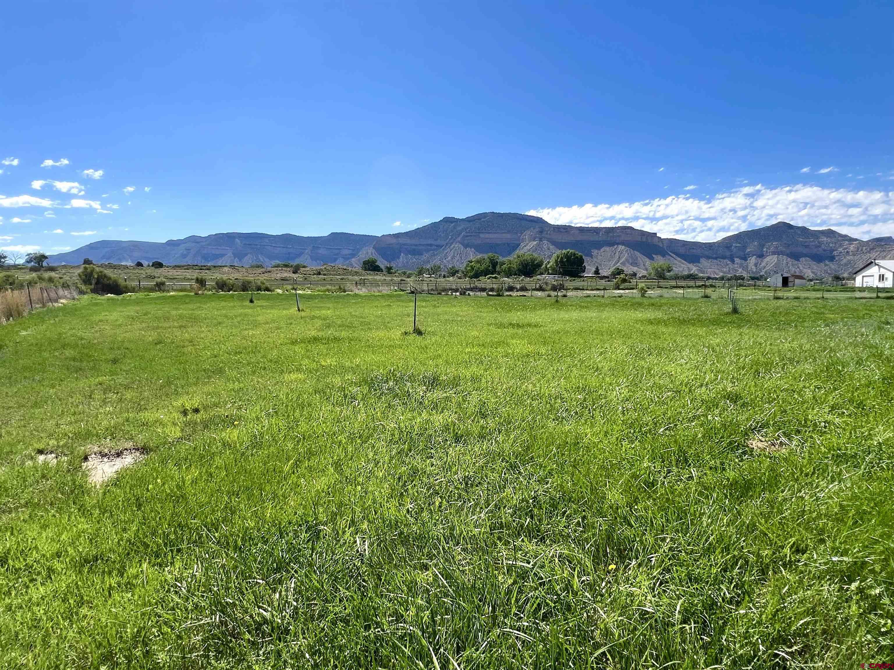 21179 Rd C.6 Cortez, CO 81321 - Photo 30 of 33 a view of a lush green outdoor space with a swimming pool