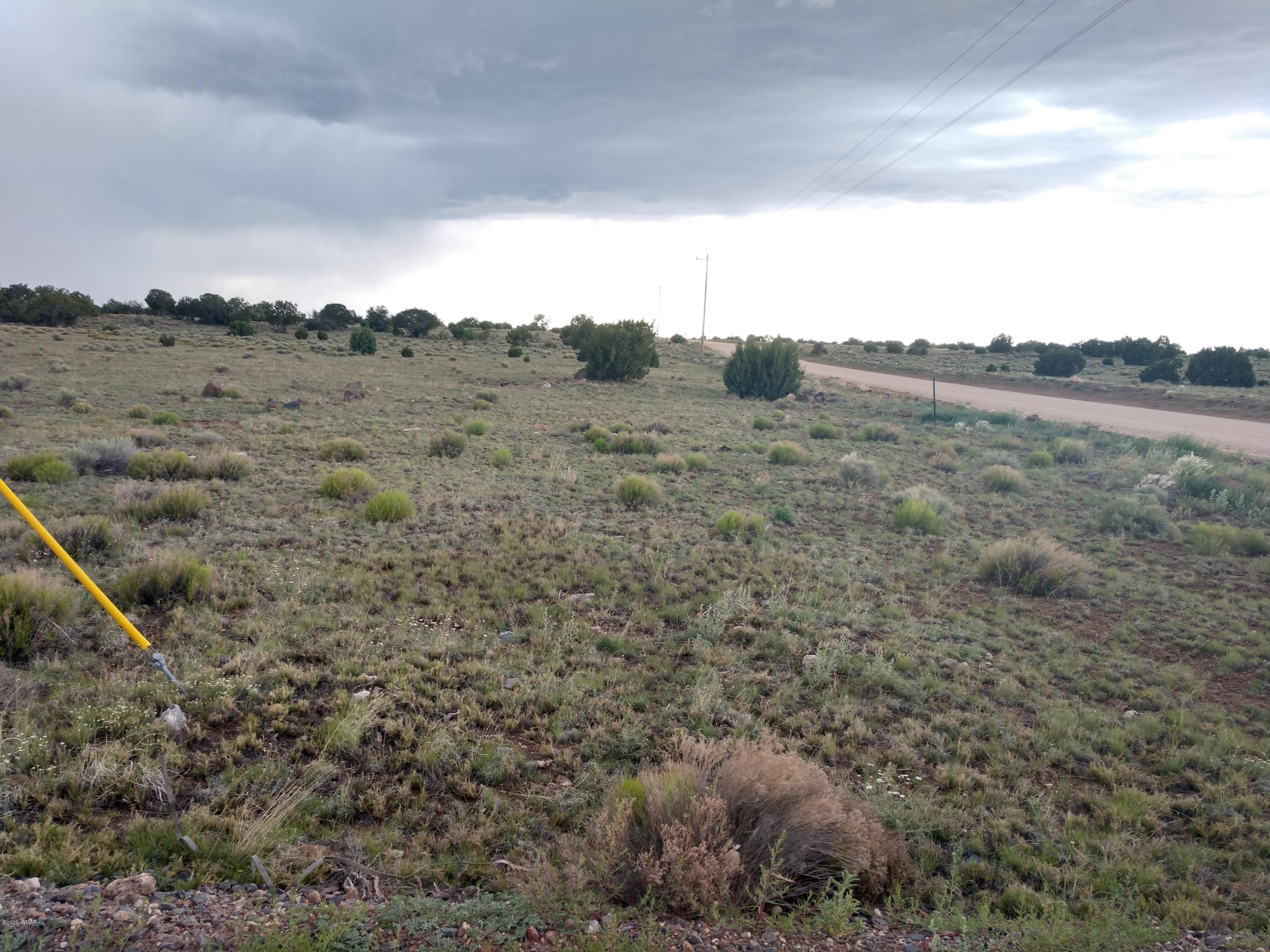 Tbd Mesa Redondo Ranch Road Concho, AZ 85924 - Photo 1 of 12