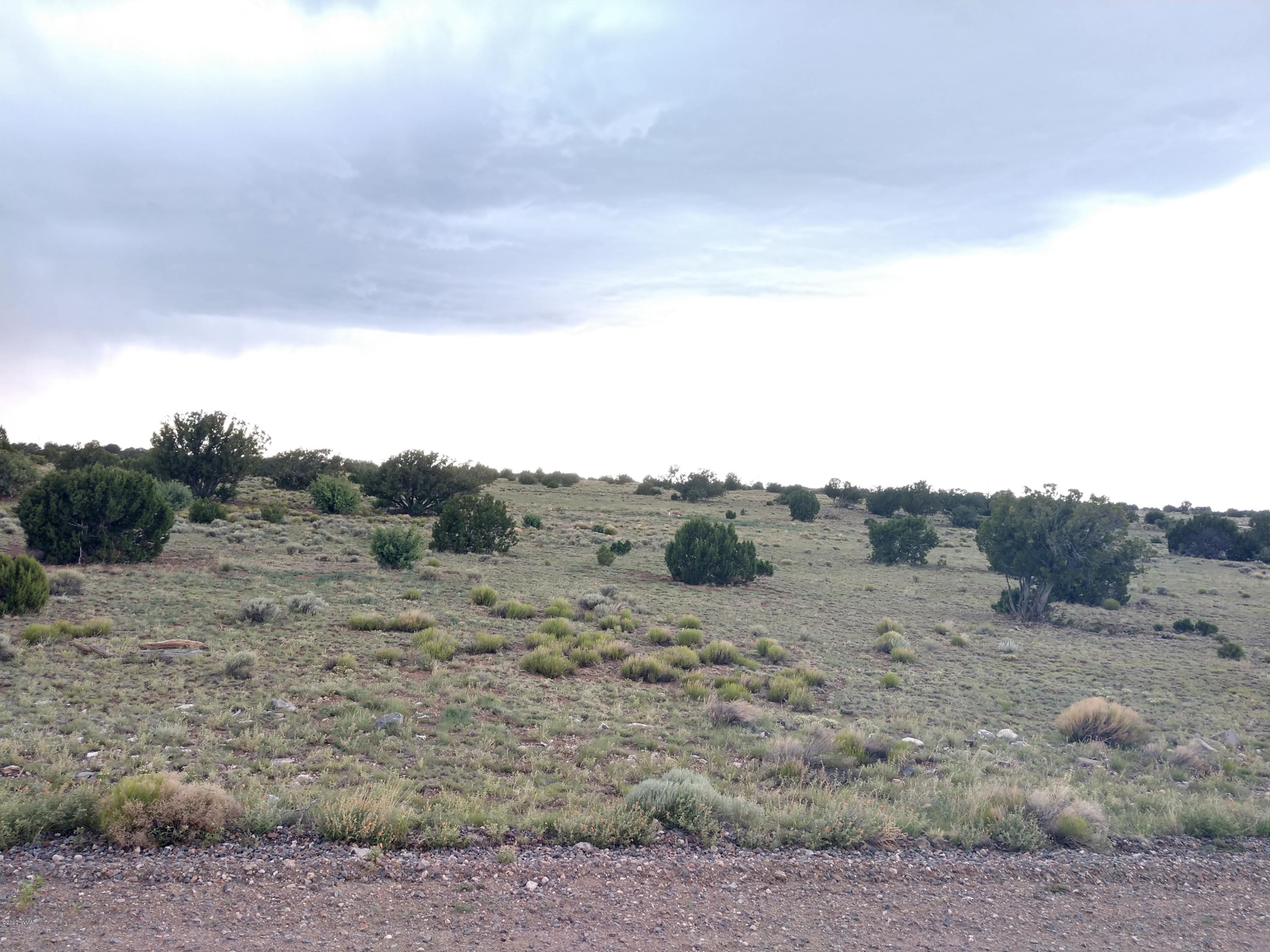 Tbd Mesa Redondo Ranch Road Concho, AZ 85924 - Photo 11 of 12