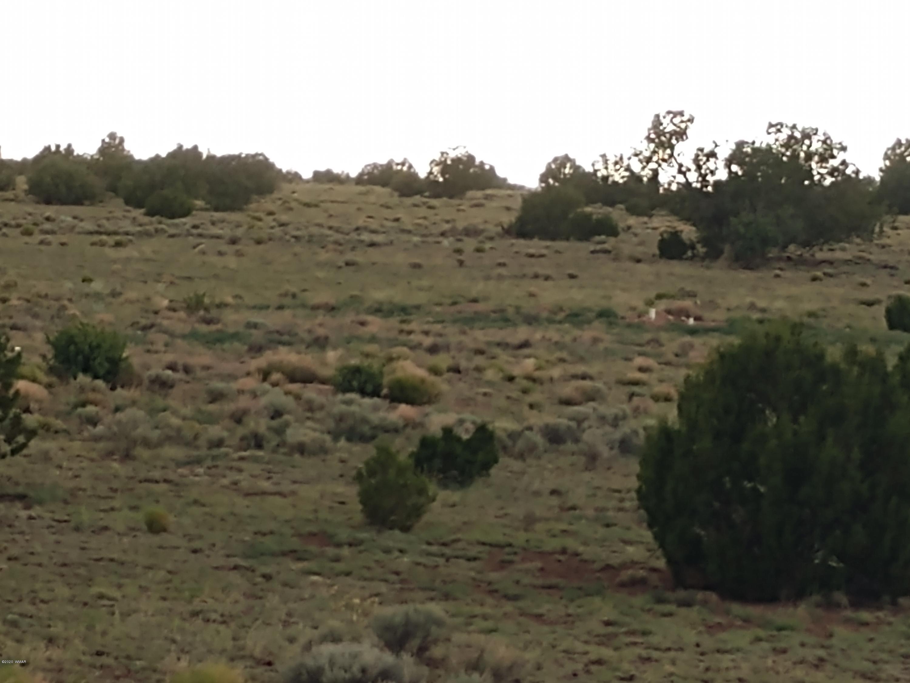 Tbd Mesa Redondo Ranch Road Concho, AZ 85924 - Photo 12 of 12