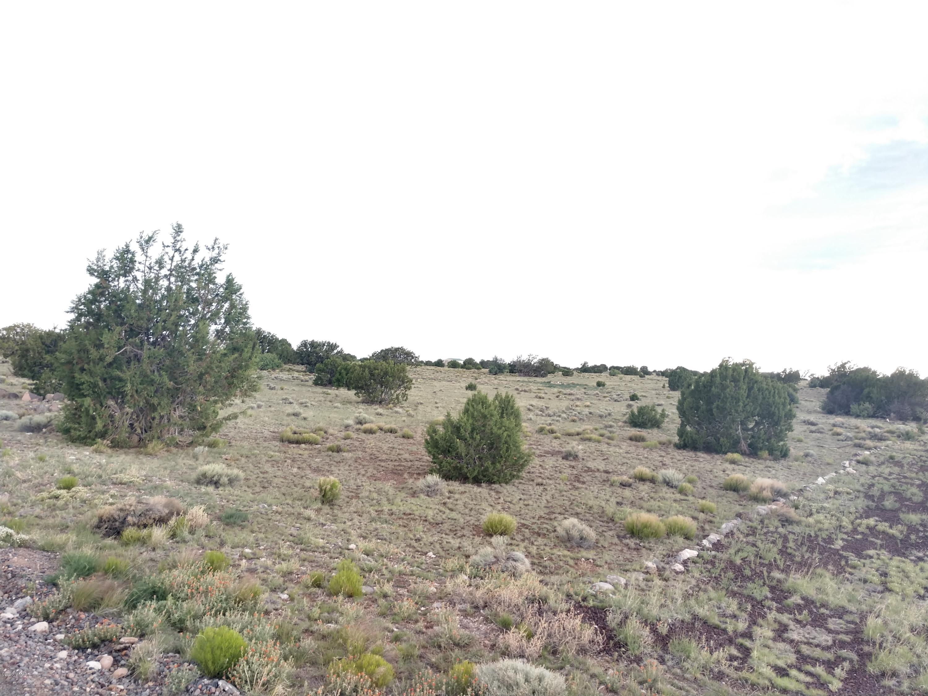 Tbd Mesa Redondo Ranch Road Concho, AZ 85924 - Photo 10 of 12