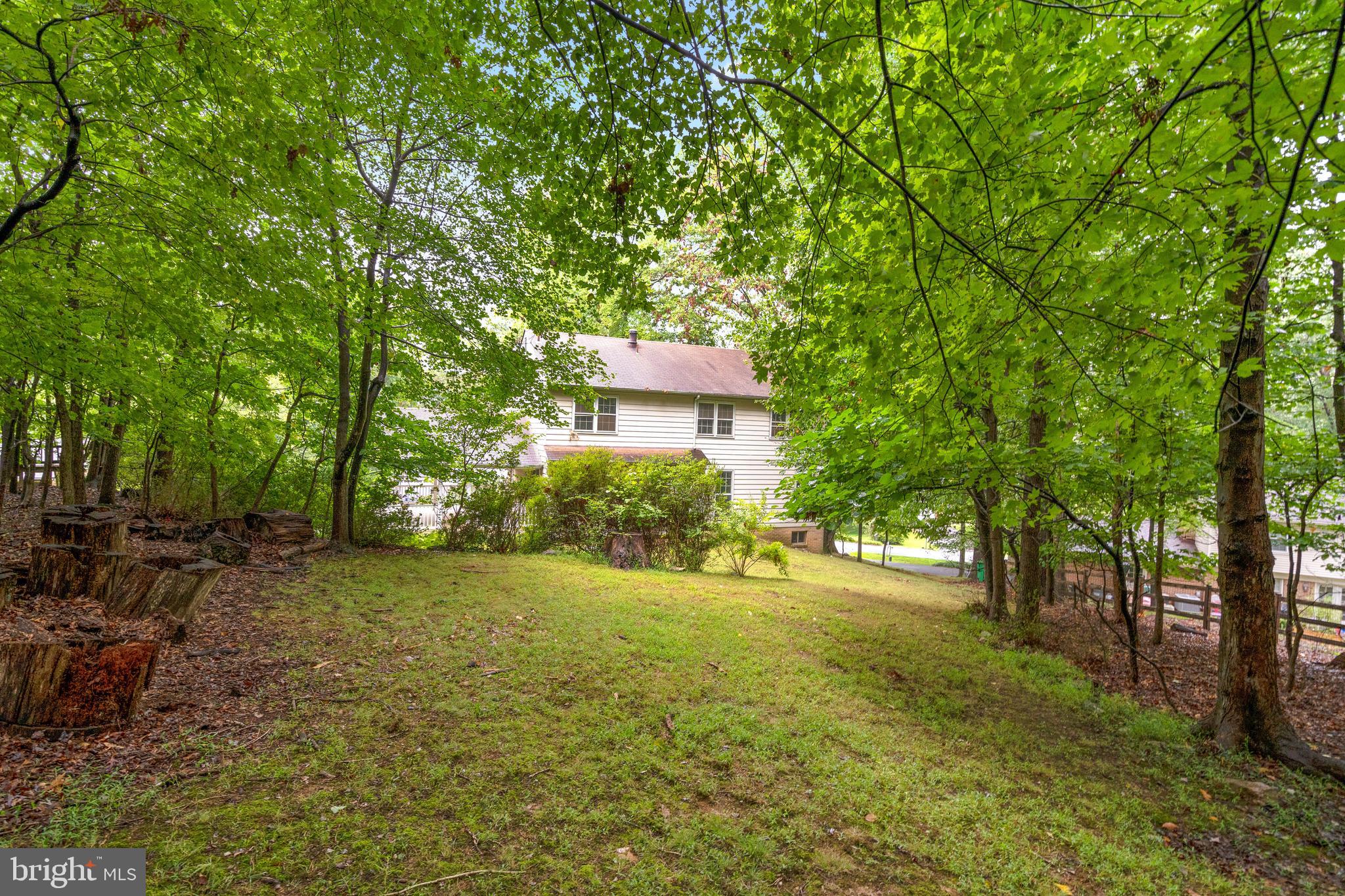 9509 Emory Grove Road Gaithersburg, MD 20877 - Photo 55 of 57 a backyard of a house with large trees and plants