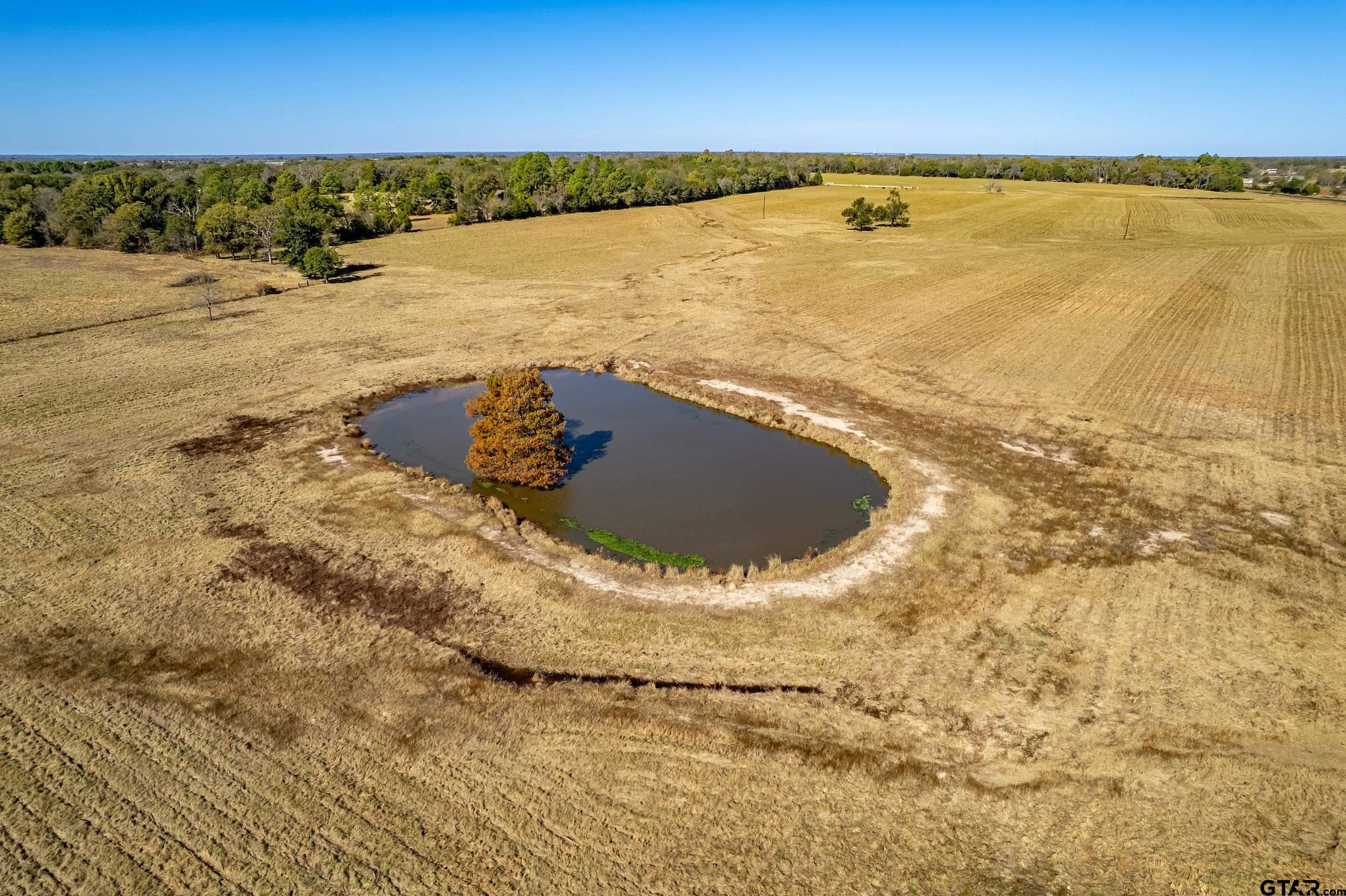 1504 Wills Point Wills Point, TX 75169 - Photo 11 of 17