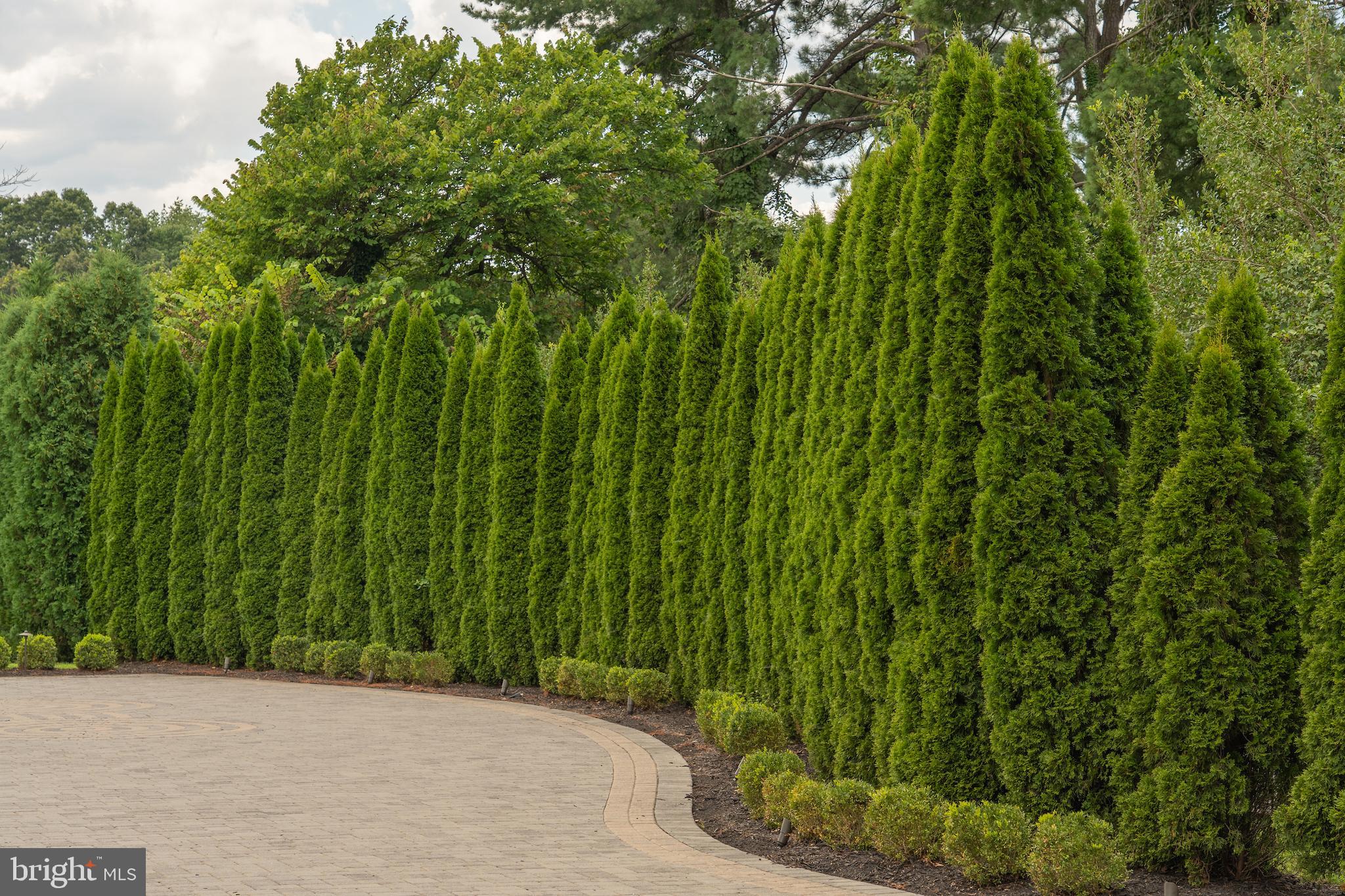 1181 Ballantrae Lane McLean, VA 22101 - Photo 85 of 85