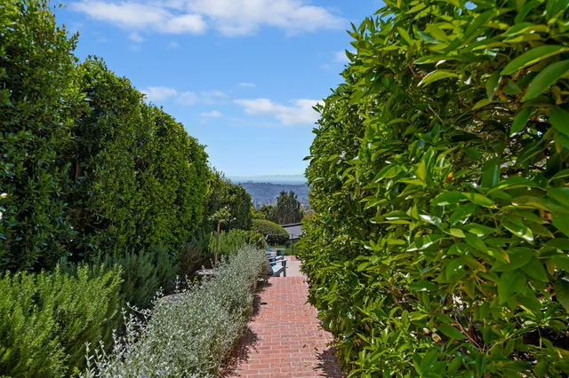 a view of a pathway both side of yard