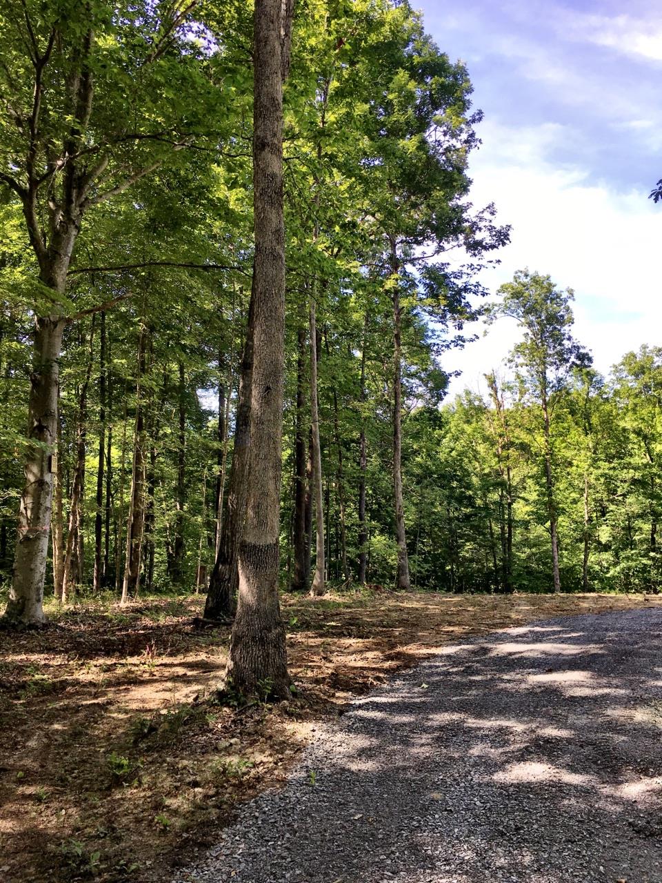 20582 Ben Fly Road Lyles, TN 37098 - Photo 3 of 6