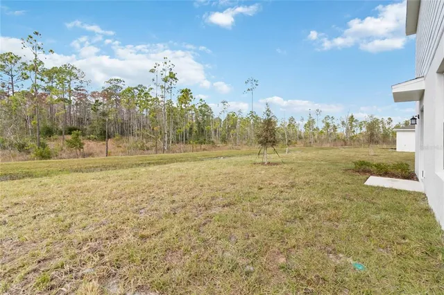 a view of a big yard with houses