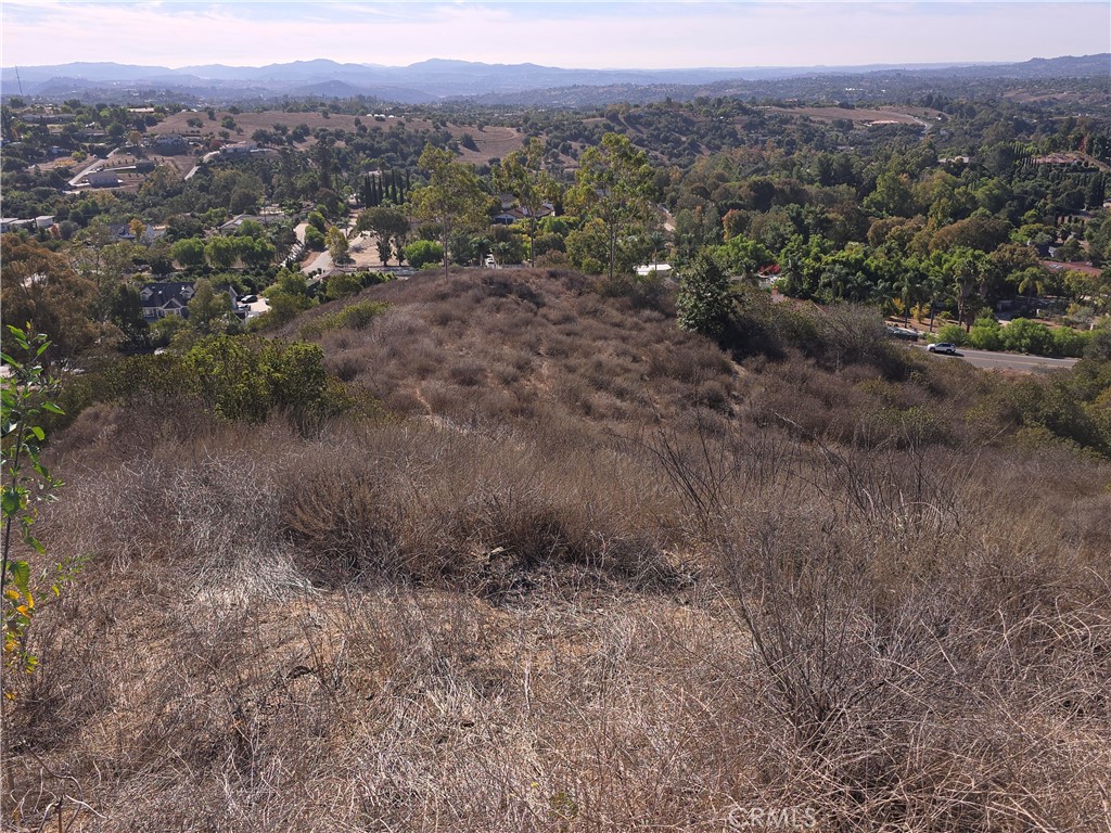 1387 Las Vistas Road Fallbrook, CA 92028 - Photo 18 of 26 Land