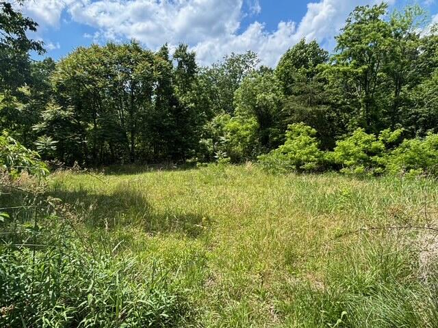 590 Black Mountain Road Dunlap, TN 37327 - Photo 12 of 20 IMG_6644