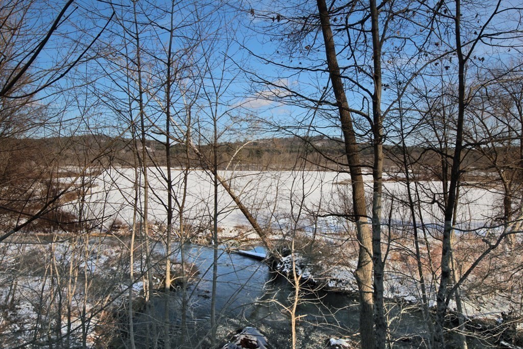 53 Burrows Turnpike Road Bernardston, MA 01337 - Photo 40 of 42 a view of tree in the middle of a yard