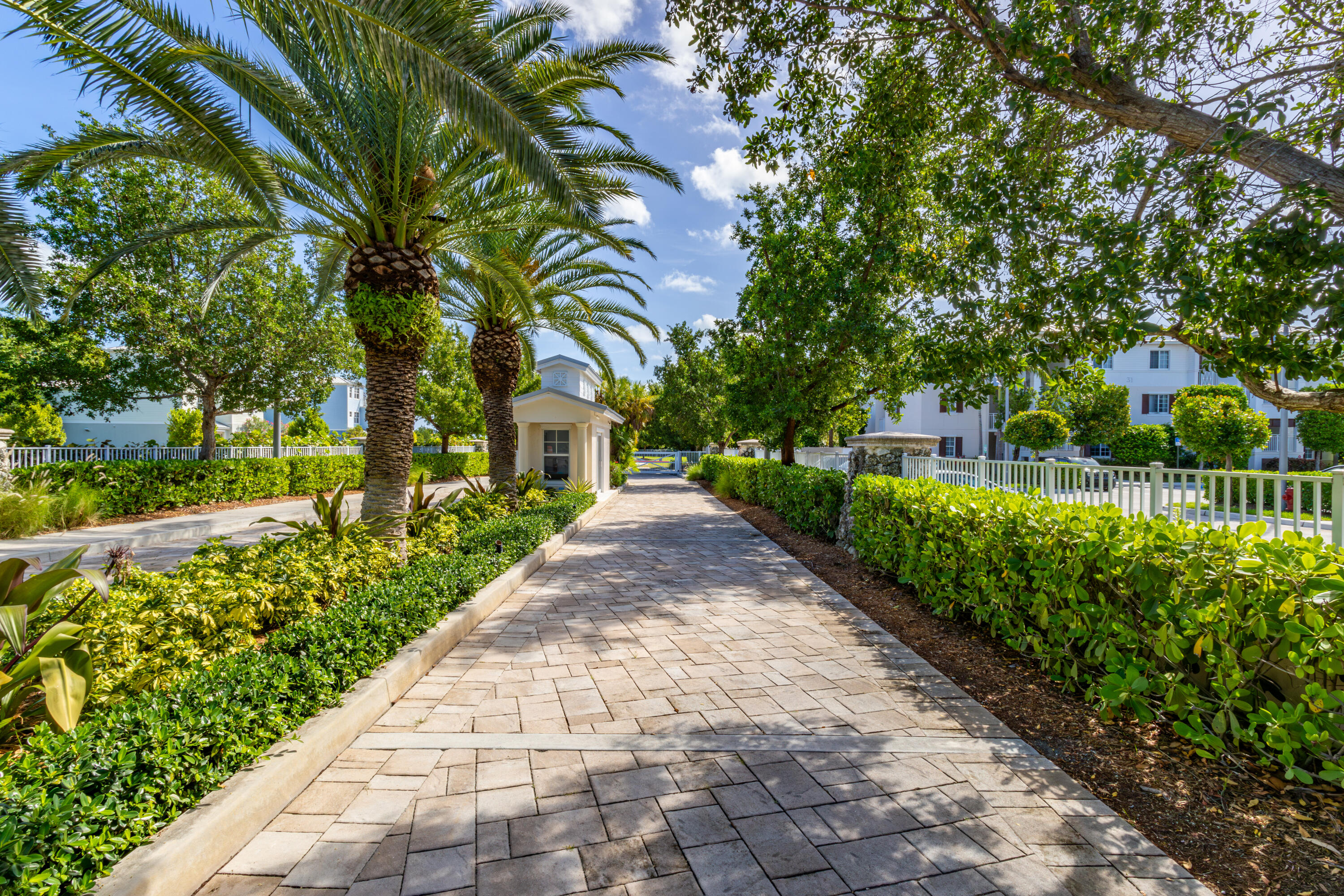 25 East Playa Largo Blvd Key Key Largo, FL 33037 - Photo 25 of 55 Mature landscape