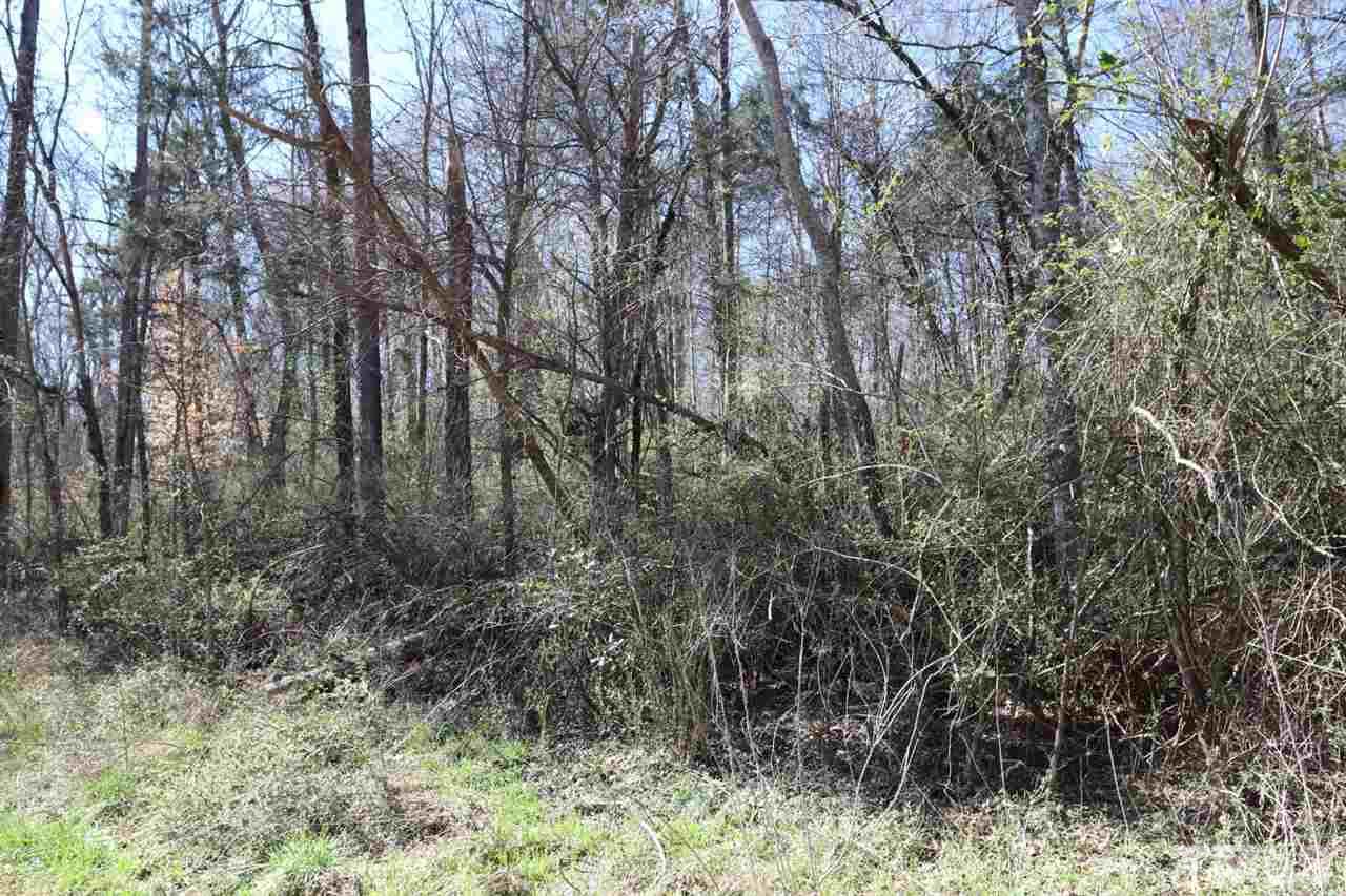 0 Geneva Albright Road Graham, NC 27253 - Photo 2 of 4 Gallery Image 2