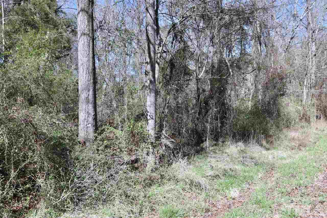 0 Geneva Albright Road Graham, NC 27253 - Photo 3 of 4 Gallery Image 3