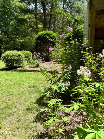 a view of a flower in a garden