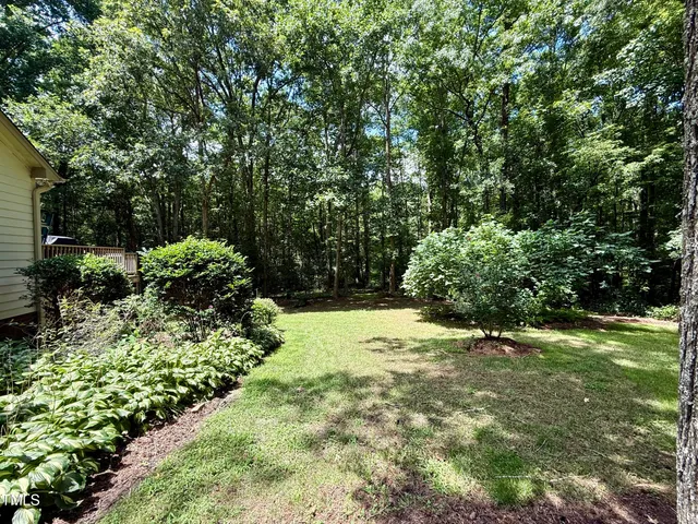 a view of a yard with plants and large trees