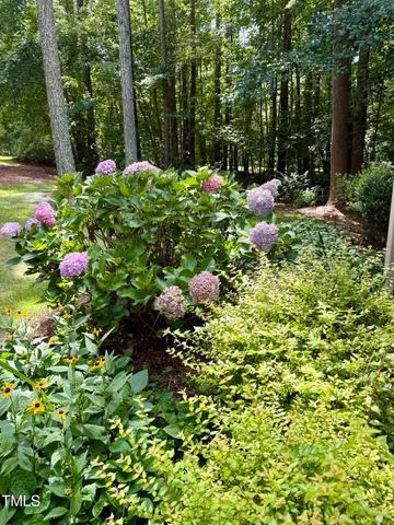 a backyard of a house with lots of green space and garden view