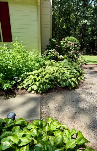 a plant that is in front of flowers