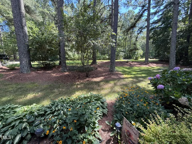 a view of outdoor space and yard
