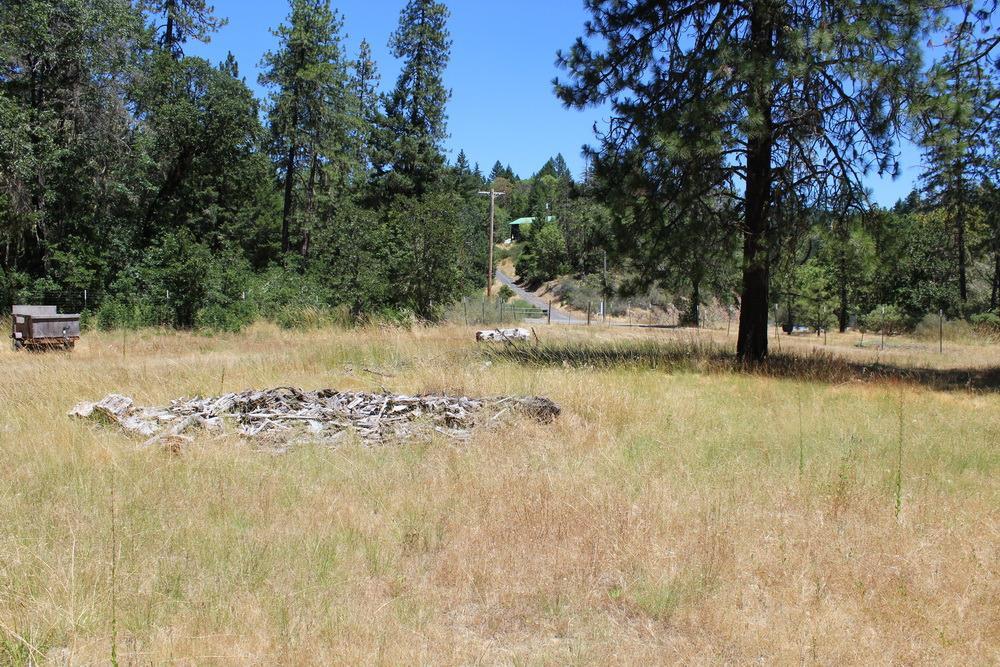 4617 Reeves Creek Road Selma, OR 97538 - Photo 10 of 20 Additional Photo