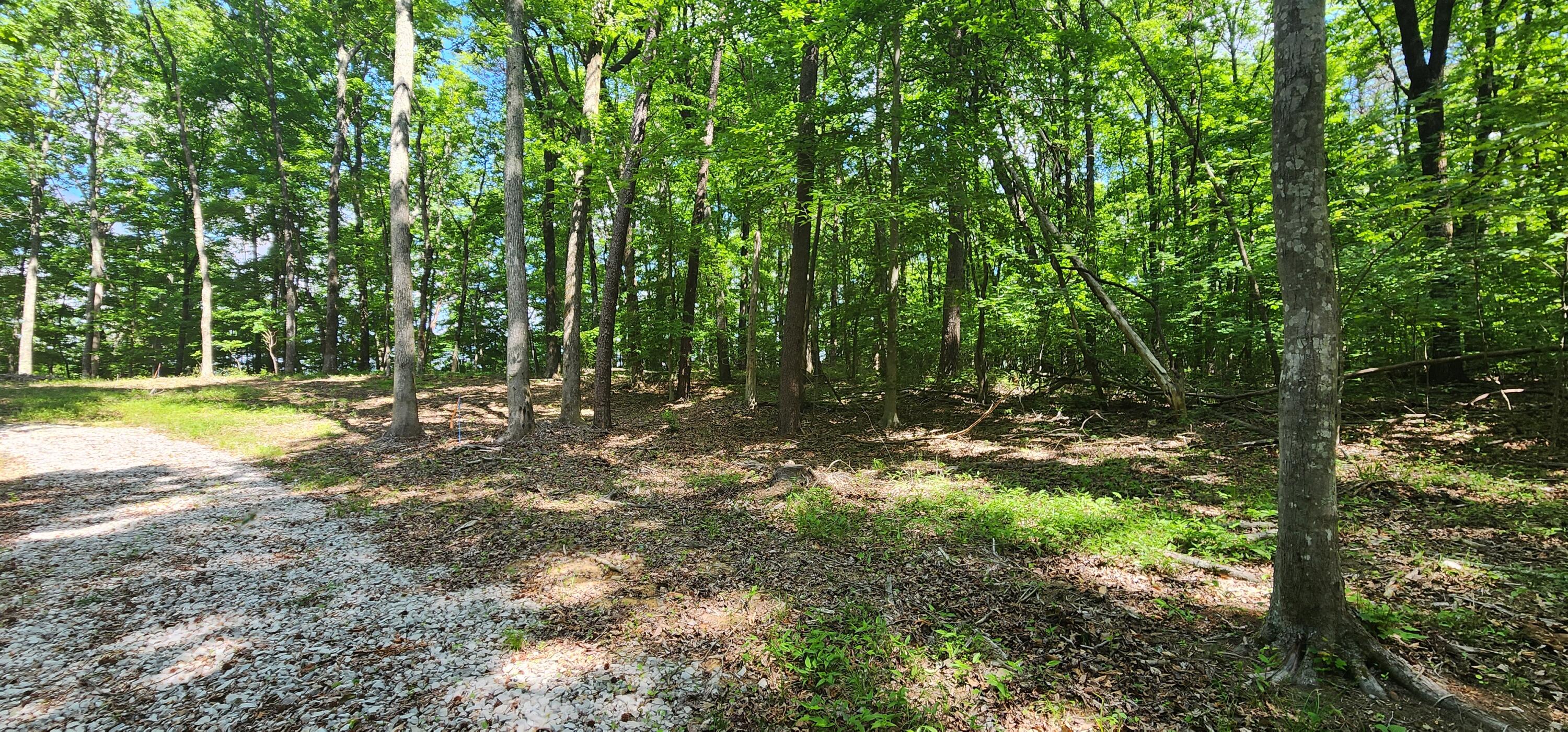 0 Roth Point Road, Unit 5 Altamont, TN 37301 - Photo 40 of 53 1000051988