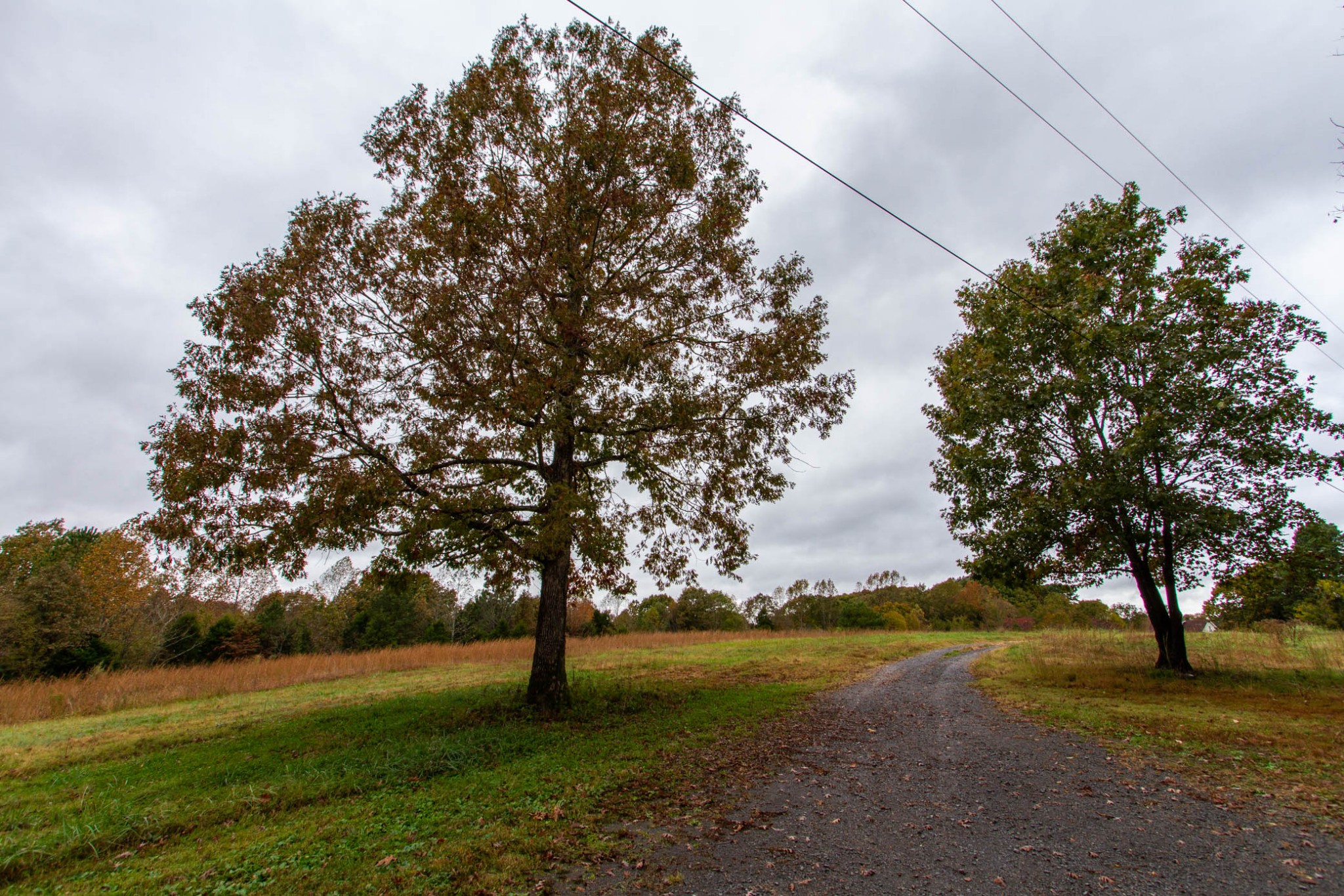 1832 Taylortown Road White Bluff, TN 37187 - Photo 40 of 49 Gallery Image 40