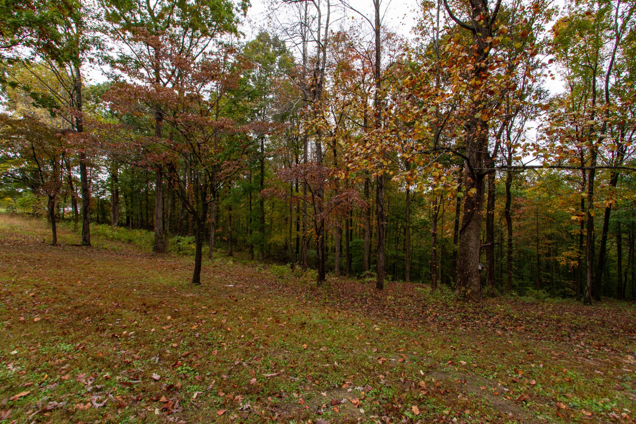 1832 Taylortown Road White Bluff, TN 37187 - Photo 42 of 49 Gallery Image 42
