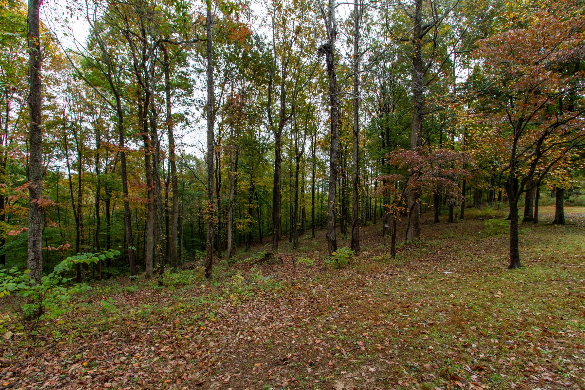 1832 Taylortown Road White Bluff, TN 37187 - Photo 44 of 49 Gallery Image 44