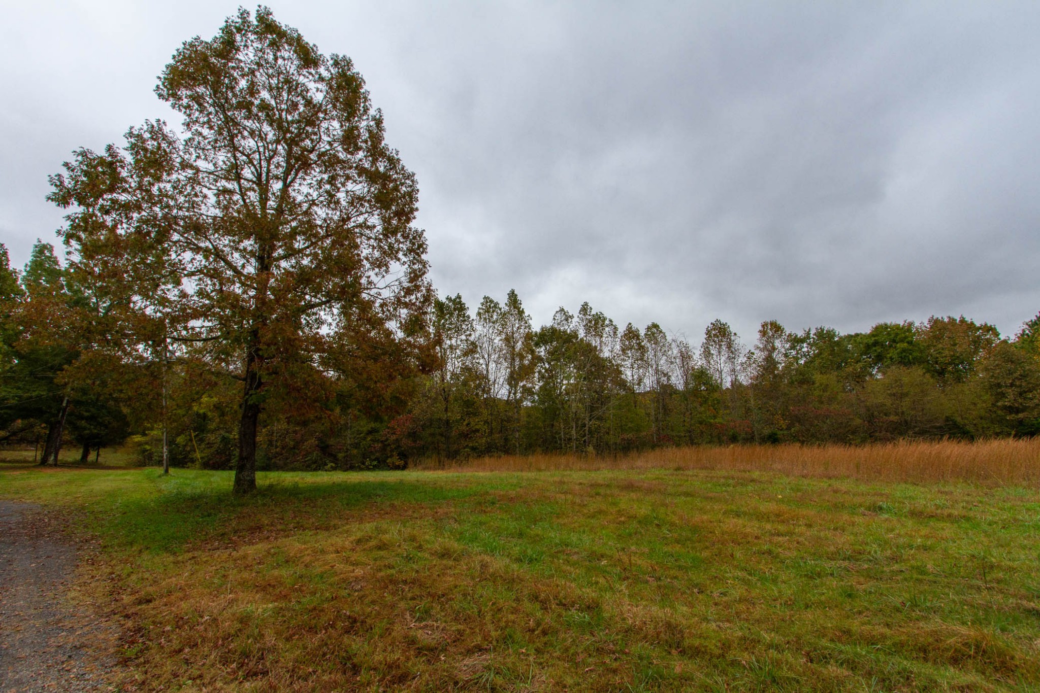 1832 Taylortown Road White Bluff, TN 37187 - Photo 46 of 49 Gallery Image 46
