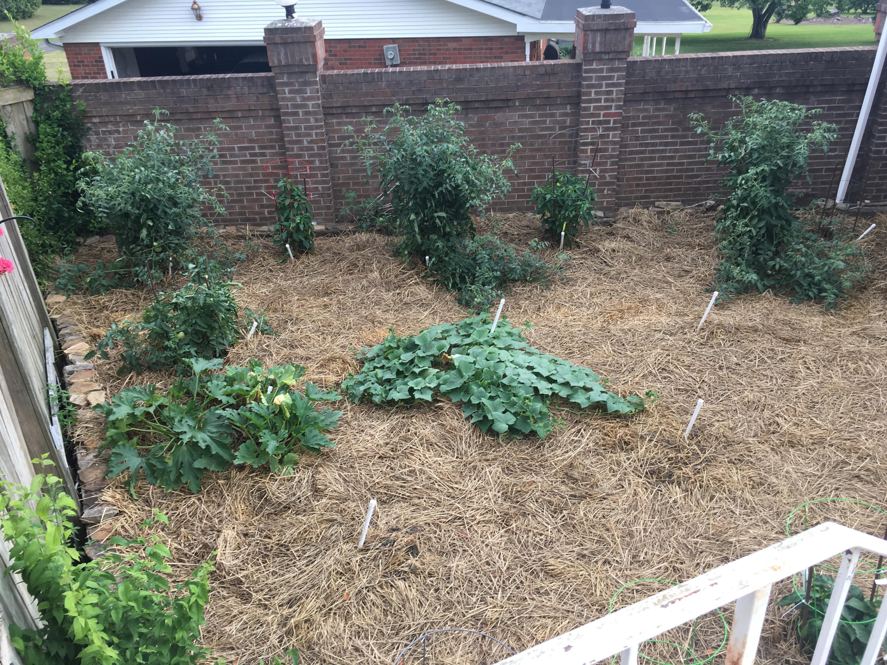 3980 Bow Street Cleveland, TN 37312 - Photo 46 of 52 Garden Area