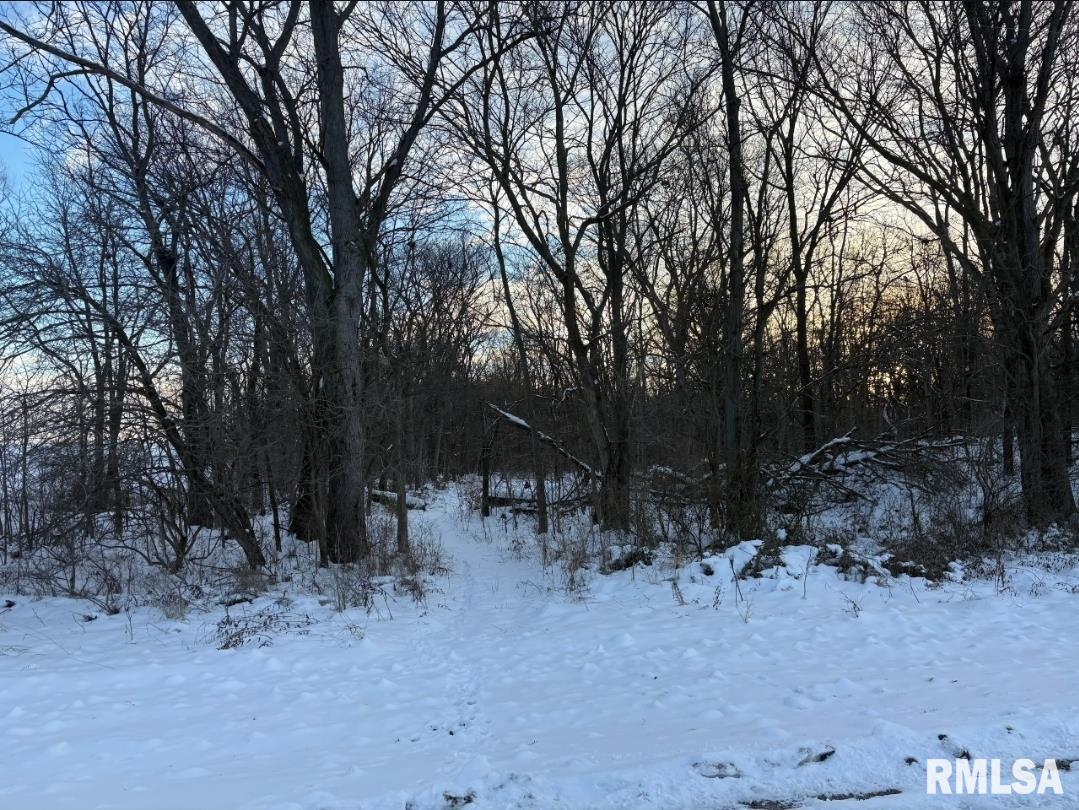 13014 Kirby Street Tallula, IL 62688 - Photo 9 of 32