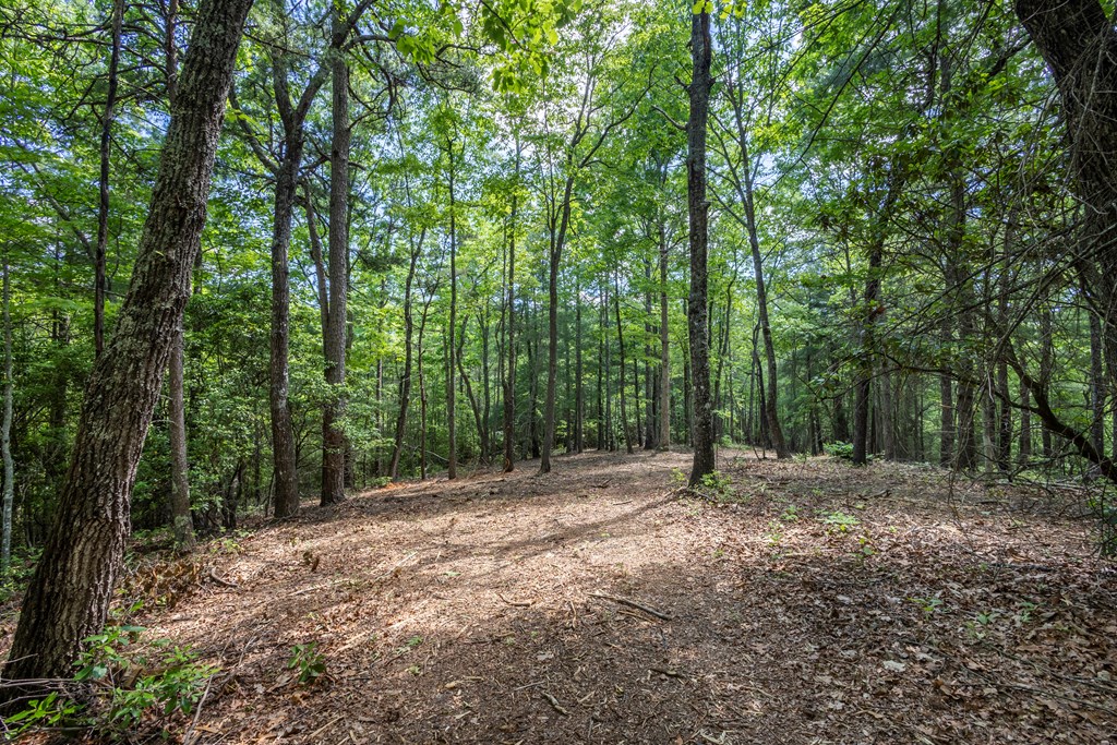 4.3-ac Donley Road Murphy, NC 28906 - Photo 4 of 14