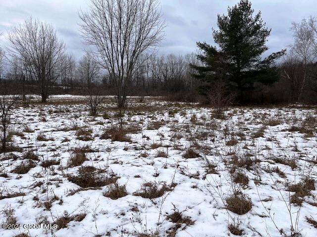 885 Brand Road Root, NY 12166 - Photo 7 of 13 IMG_2583