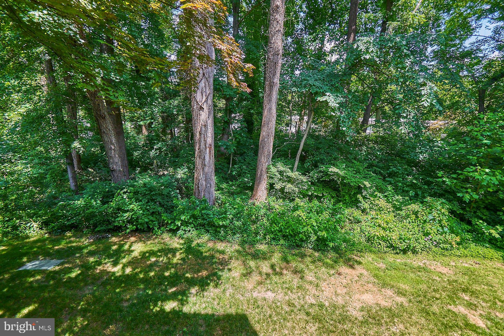 11601 Vantage Hill Road, Unit 12B Reston, VA 20190 - Photo 28 of 46