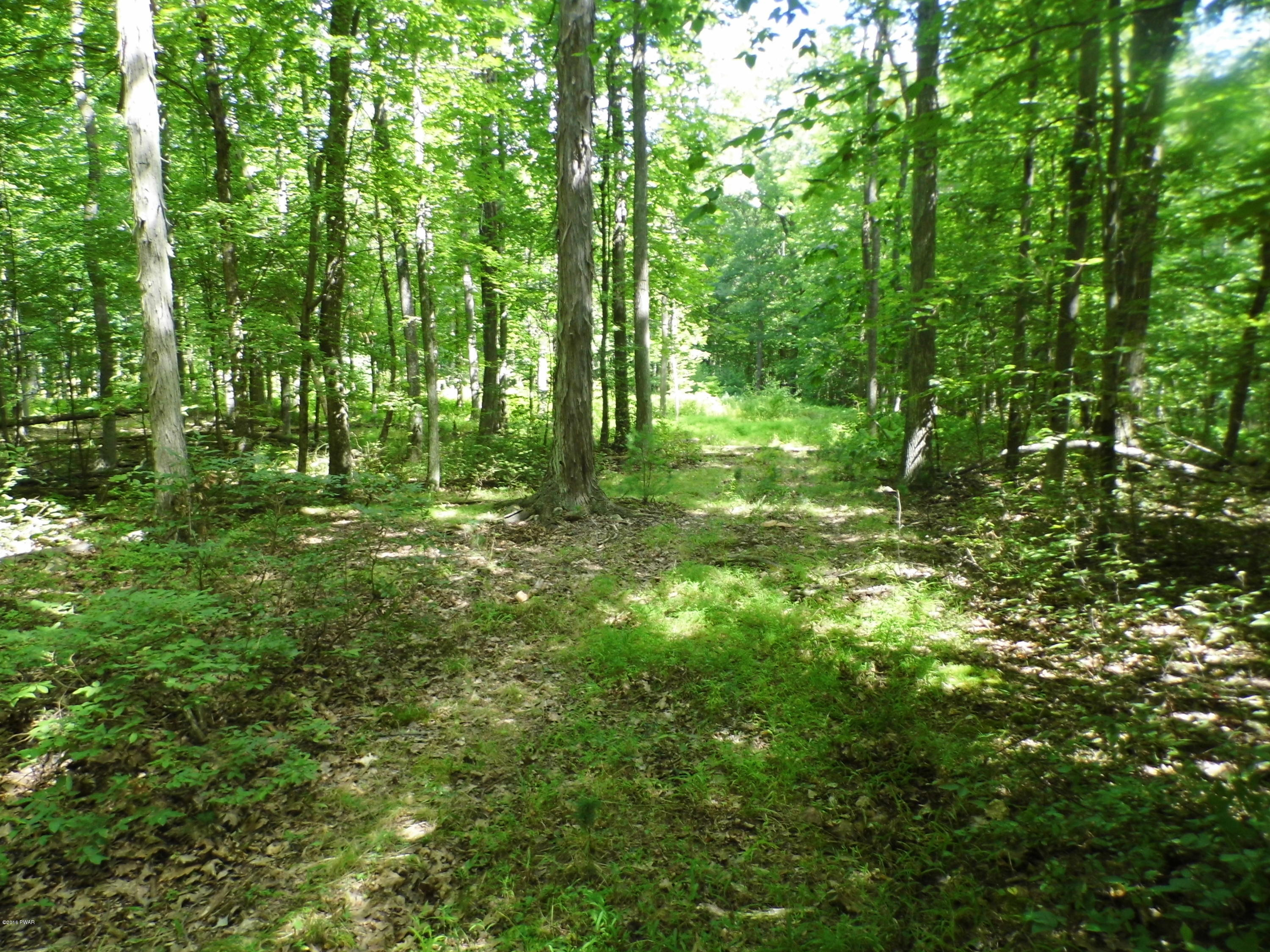 Hoadleys Road Hawley, PA 18428 - Photo 1 of 7