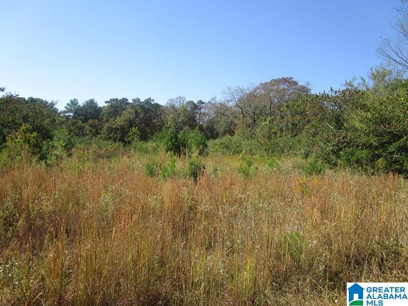2528 Sayers Road Fultondale, AL 35068 - Photo 21 of 21