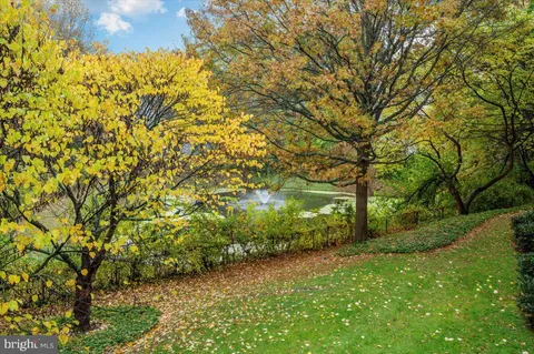 a backyard of a house with plants and large trees