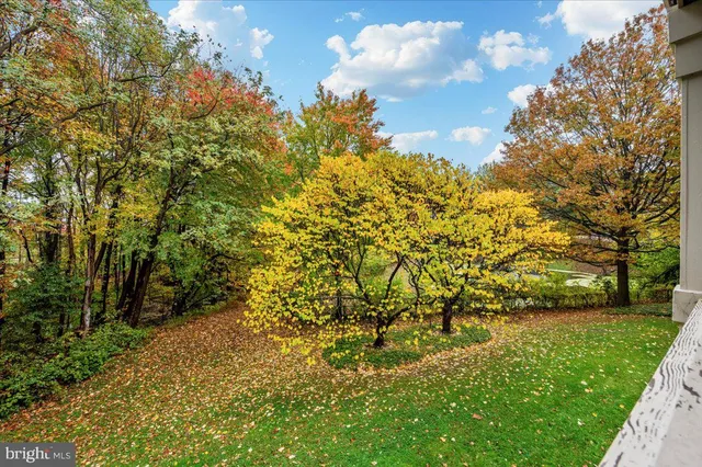 a view of backyard with green space