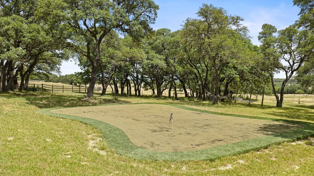 207 Verbena Road Johnson City, TX 78636 - Photo 35 of 40 A private putting green nestled among mature trees offers serene outdoor recreation.