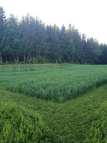 $319,000 | 265 Framingham Road, Littleton, ME 04730