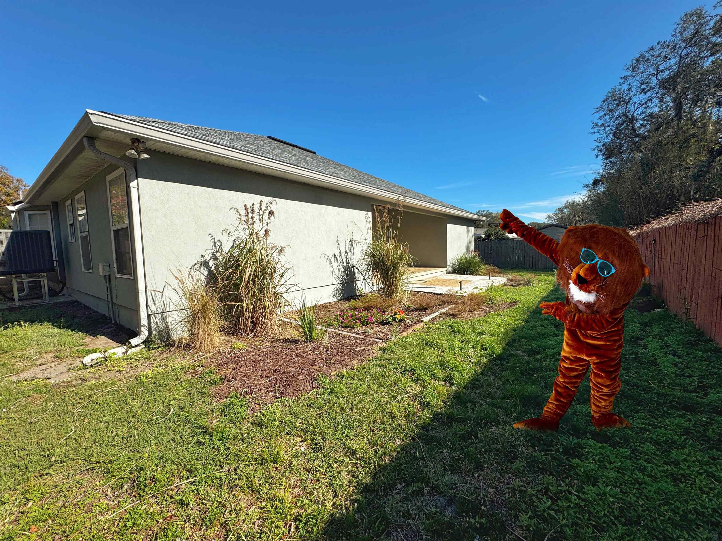632 Segovia Road St. Augustine, FL 32086 - Photo 28 of 28 a view of a backyard with potted plants