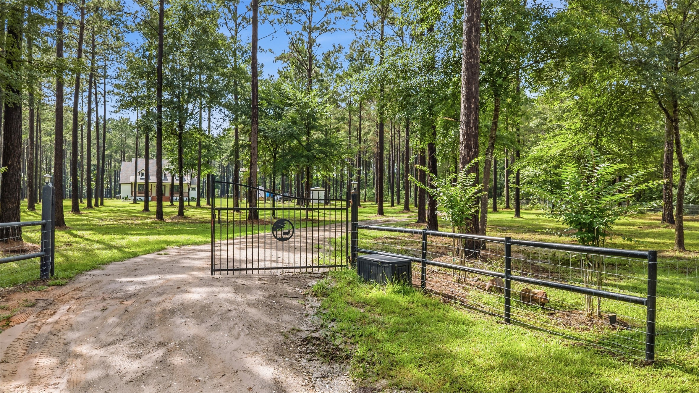 1780 Josserand Road Groveton, TX 75845 - Photo 3 of 42
