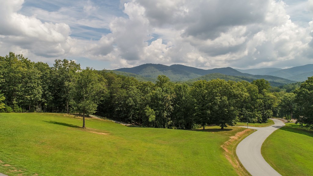 336 Greystone Trace Ellijay, GA 30536 - Photo 44 of 64