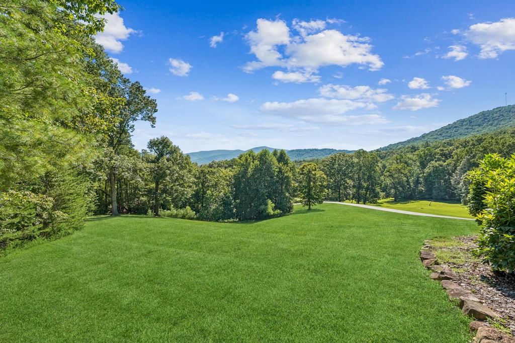 336 Greystone Trace Ellijay, GA 30536 - Photo 59 of 64