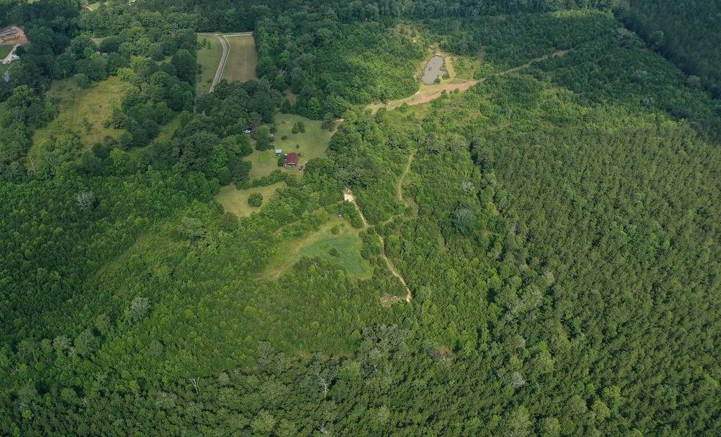 24175 John McKigney Road Springfield, LA 70462 - Photo 3 of 36