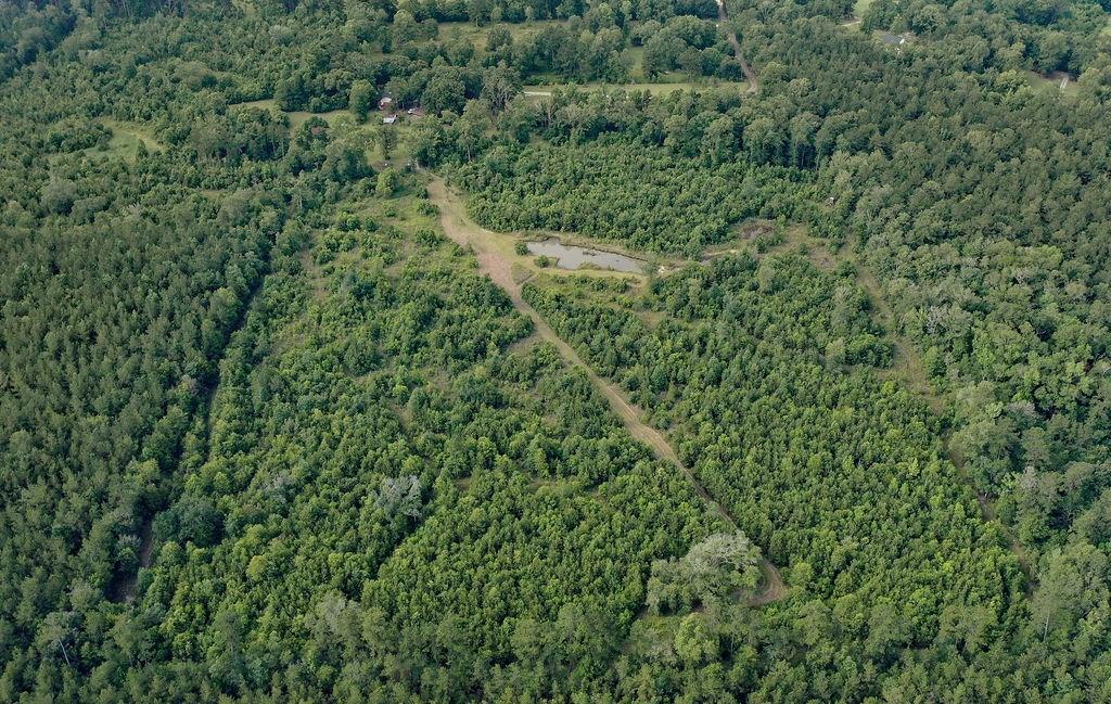 24175 John McKigney Road Springfield, LA 70462 - Photo 8 of 36