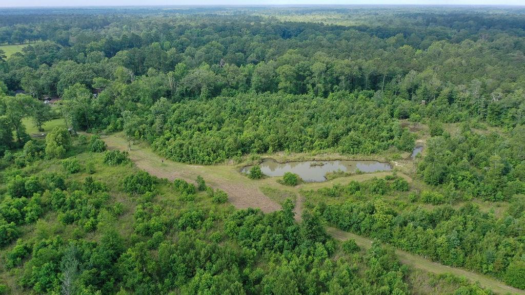 24175 John McKigney Road Springfield, LA 70462 - Photo 10 of 36