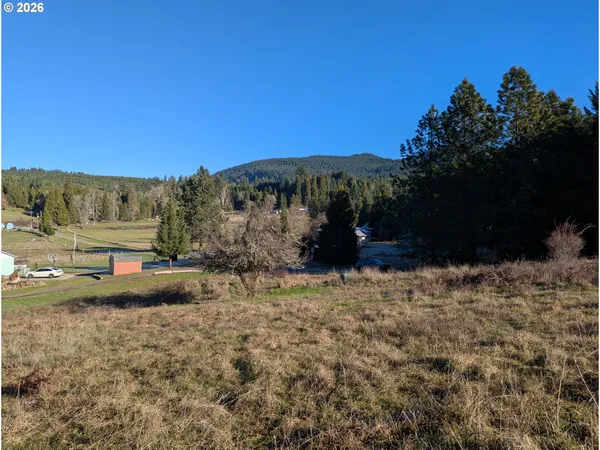 $26,500 | Spike Drive, Unit 39, Oakridge, OR 97463