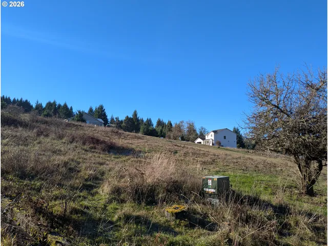 a view of a dry yard with trees in the background