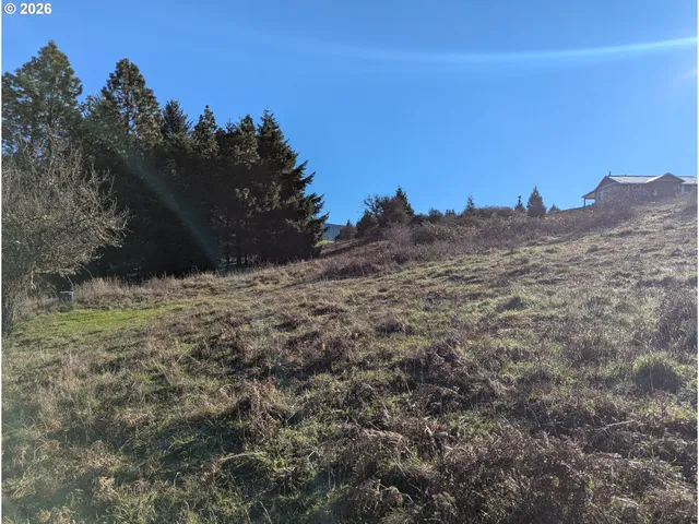 a view of a dry yard