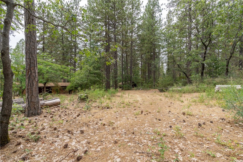 15184 Siwini Road Forest Ranch, CA 95942 - Photo 65 of 75
